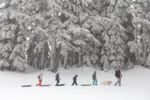 MtBakerVision - Winter Snow